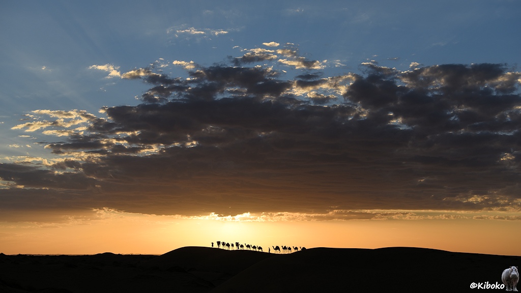 Das Bild zeigt eine weite Landschaftsaufnahme gegen die untergehende Sonne. Auf einer Sanddüne in der Mitte läuft eine Kamelkarawane. Darüber hängt eine große Wolke. Die Sonne versteckt sich hinter dem unteren Rand der Wolke.