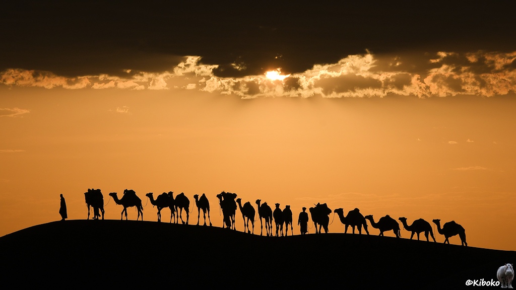 Das Bild zeigt eine Karawane mit 15 Kamelen auf einer Düne im Gegenlicht. Die Düne und die Kamele sind Schwarz. Die darüberhängende Wolke ist ebenfalls schwarz. Der Streifen dazwischen ist orange. Die Sonne scheint zu einem Viertel unter der Wolke durch.