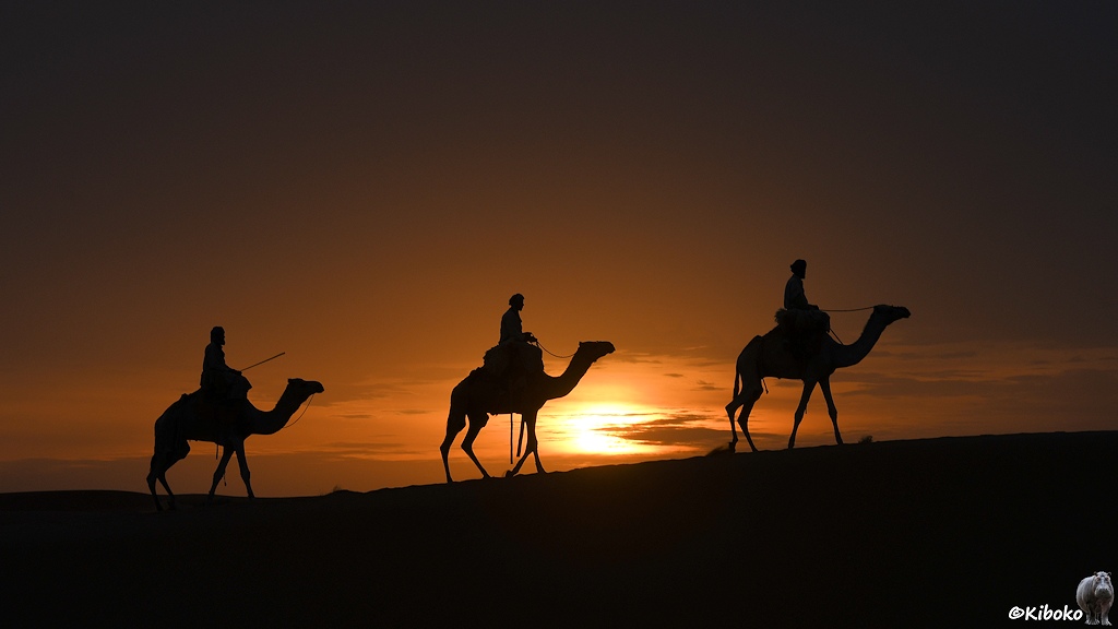 Das Bild zeigt die Silhouetten von drei Reitern auf Kamelen gegen die aufgehende Sonne. Der Himmel ist orange.