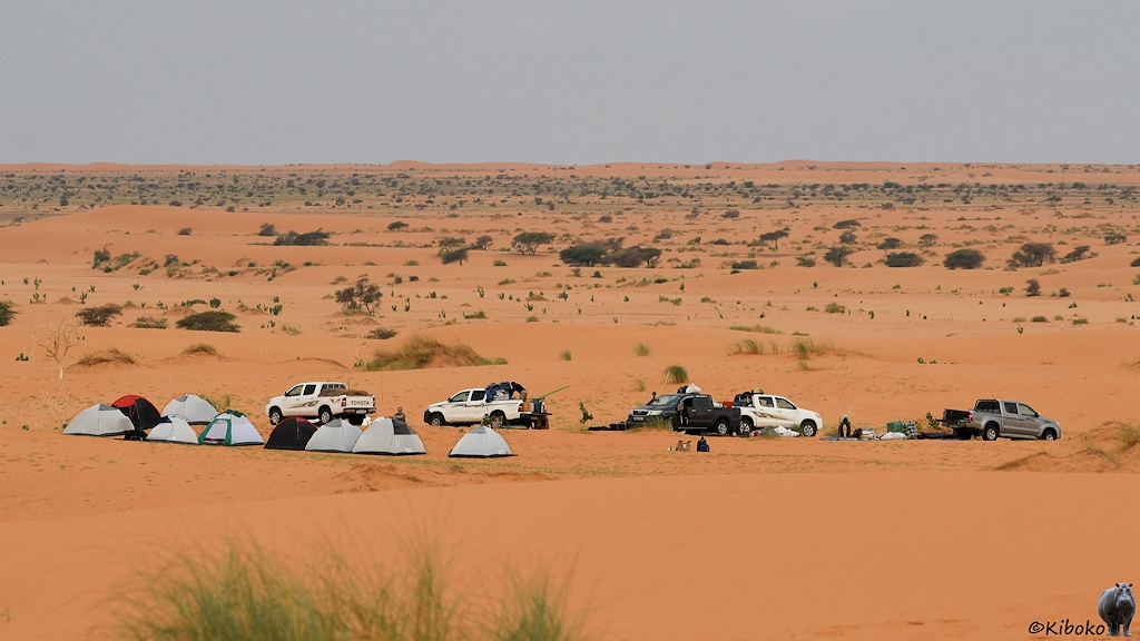 Das Bild zeigt in einer weiten Wüstenebene stehen hellgraue Igluzelte und 5 Geländewagen. Im Hintergrund ist die Ebene mit einzelnen Büschen und Grasbüscheln durchsetzt.