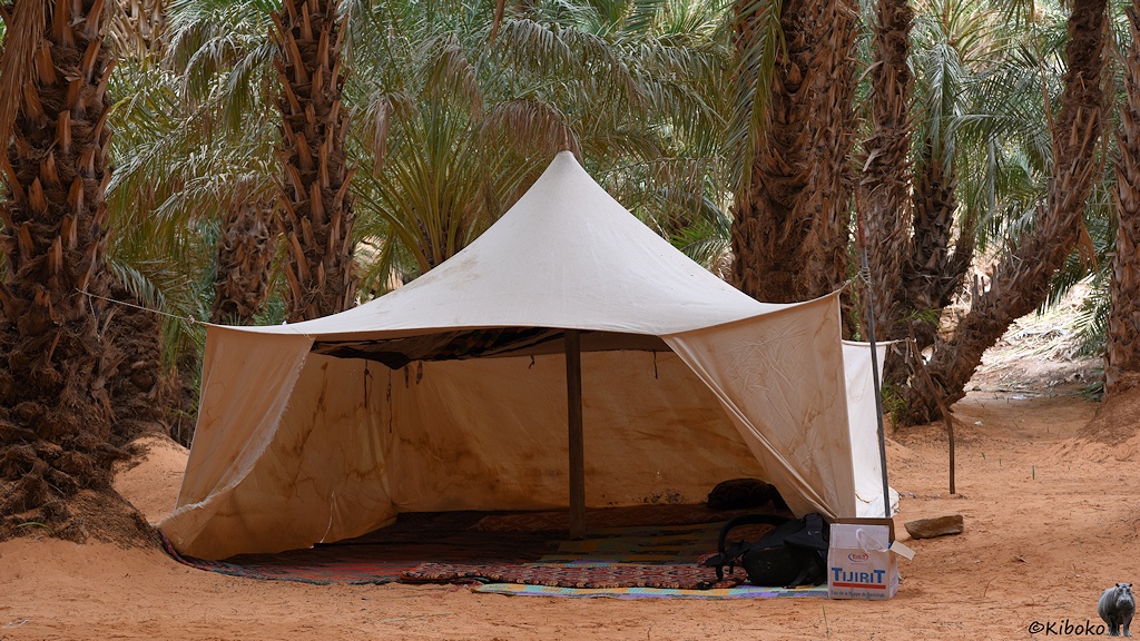 Das Bild zeigt ein viereckiges Zelt aus hellem Stoff. In der Mitte steht eine Stütze aus Holz, die die Zeltmitte auf doppelter Höhe anhebt. Um das Zelt stehen Palmen.
