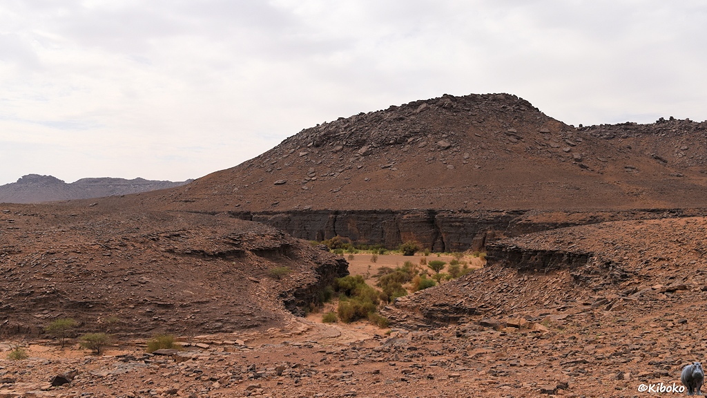 Das Bild zeigt eine Schlucht mit steilen dunklen Felswänden in einer Berglandschaft aus rotbraunen Felsen. Der Talboden ist aus hellem Sand. Ein Seitental führt direkt in die Schlucht.