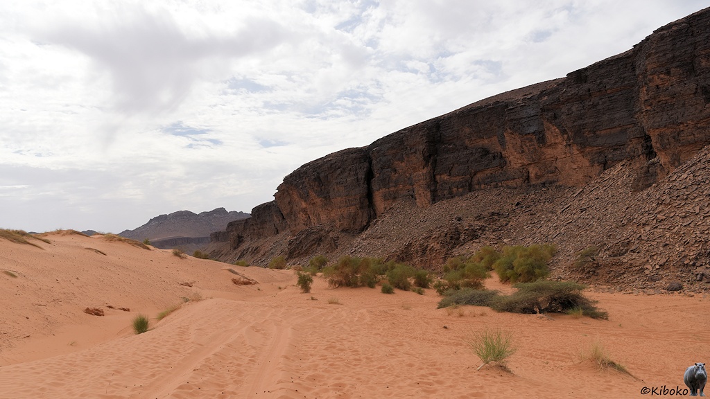 Das Bild zeigt eine Spur durch losen lachsfarbenen Sand. Am rechten Rand ragt eine dunkle Felswand empor. Vereinzelt stehen Büsche in der Schlucht.