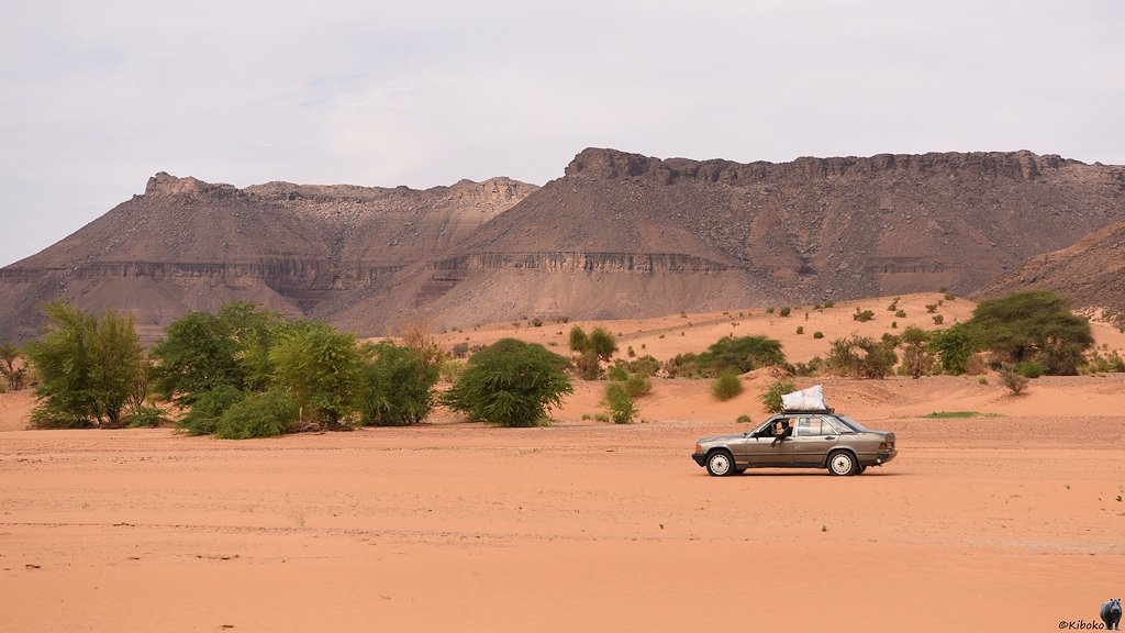Das Bild zeigt einen dunkelgrauen Mercedes mit einer weißen Ladung auf dem Dach bei der Fahrt durch lachsfarbenen Wüstensand vor einer Kulisse aus dunklen Bergen. Das Fahrerfenster ist offen. Der Fahrer lässt lässig den Arm herausbaumeln.