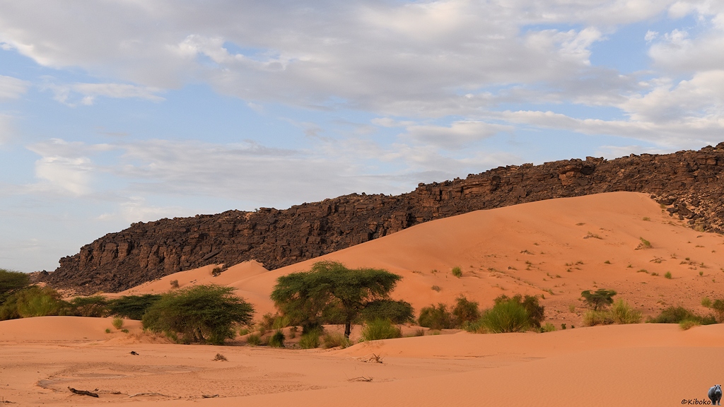 Das Bild zeigt zwei Dünen, die sich an einer dunklen Felswand im Hintergrund lehnen. Im Vordergrund stehen ein paar Bäume und Büsche im lachsfarbenen Wüstensand.