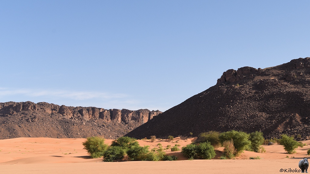 Das Bild zeigt ein Tal mit lachsfarbenen Sand. Im Vordergrund sin ein paar Büsche und kleine Bäume. Von rechts läuft ein Berghang aus dunklem Gestein flach aus. Dahinter ist ein von der Sonne angestrahlter Felshang.