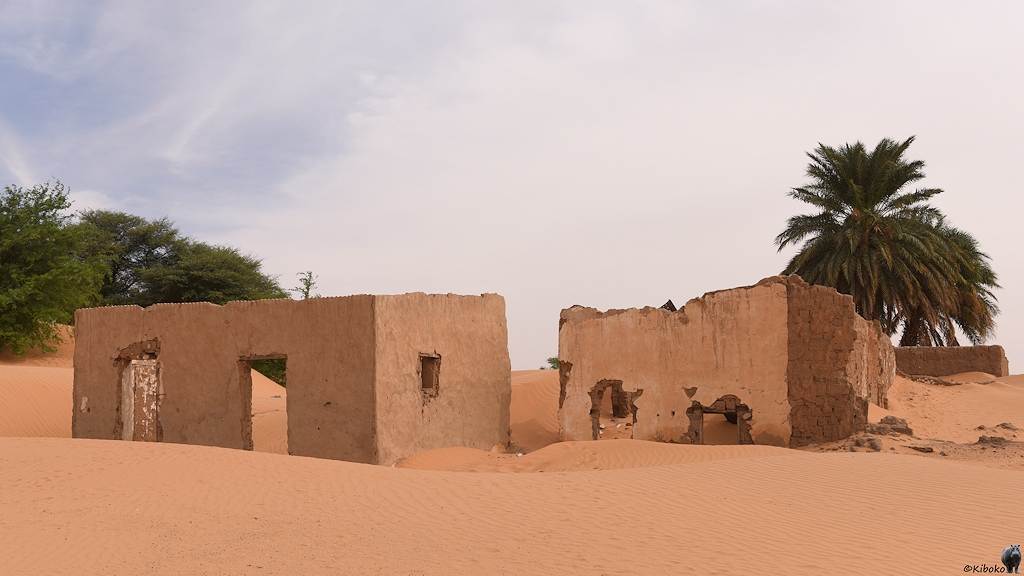 Das Bild zeigt zwei verlassene, würfelförmige Häuser ohne Dach. Die Türen fehlen ebenfalls. Die Ruinen sind schon teilweise vom Sand verschüttet.