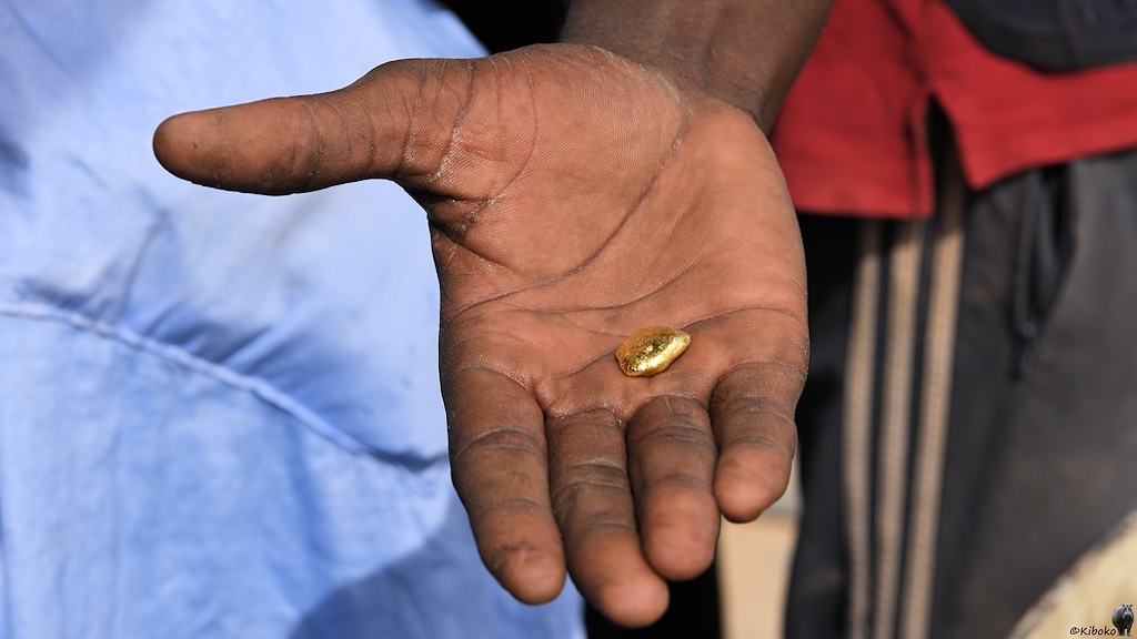 Das Bild zeigt einen rundlichen, glänzenden Goldklumpen von der Größe eines Fingergliedes in der Hand eines Mannes.