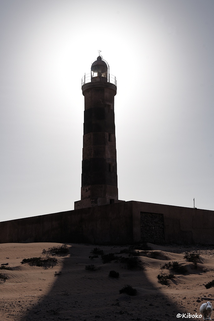Das Bild zeigt eine Hochformataufnahme eines schwarz-weiß geringelten Leuchtturms gegen die Sonne. Die Sonne befindet sich direkt hinter der Leuchtturmspitze mit dem Leuchtfeuer. Das erzeugt einen hellen Kreis um die Turmspitze. Im Vordergrund ist der Schattenwurf des Leuchtturms.