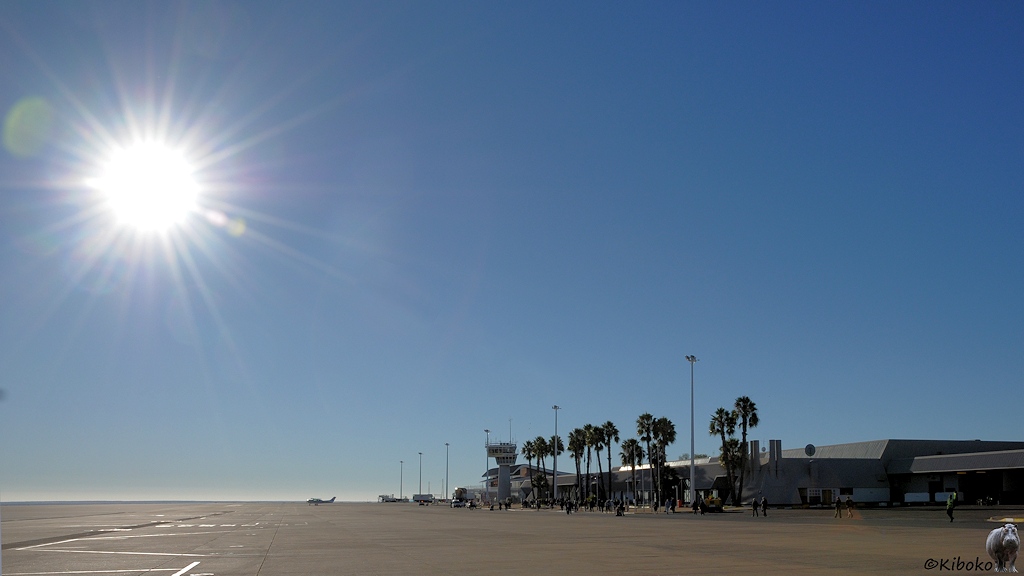 Ein niedriges Flughafengebäude mit Palmen unter blauem Himmel und strahlender Sonne. Auf dem Rollfeld steht nur eine kleine Probellermaschine.