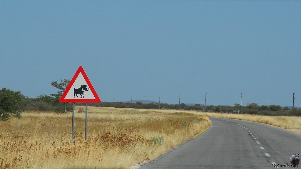 Ein dreickiges Warnschild mit rotem Rand zeigt ein schwarzes Warzenschwein auf weißem Grund.