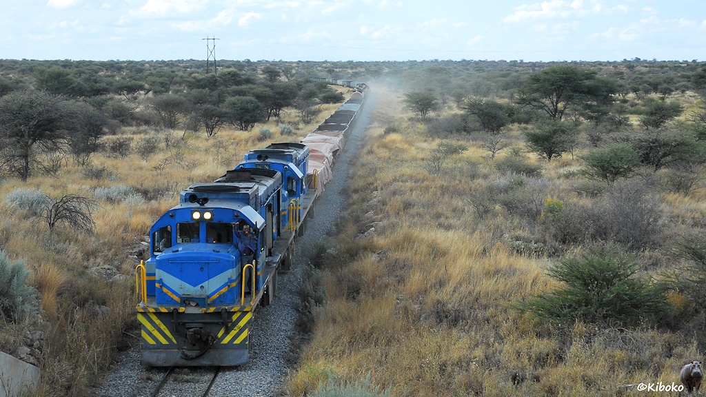 Ein Güterzug mt zwei blauen Diesellokomotiven und winkenden Lokführer fähr duirch eine Ebene aus trockenem Gras und grünen Büschen.