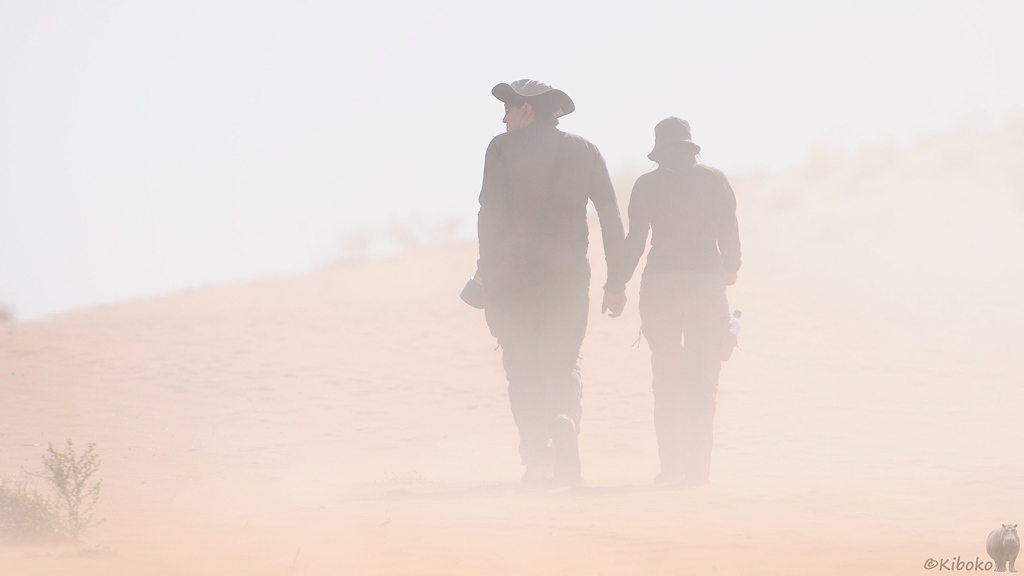 Ein paar läuft im Sandsturm durch die Wüste.