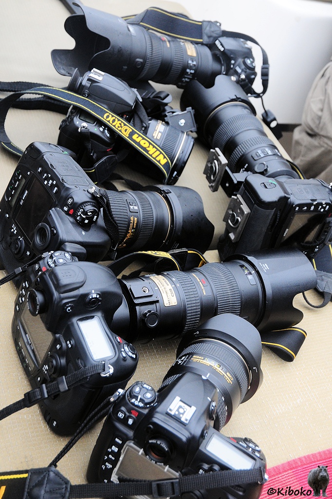 Sechs schwarze Spiegelreflexkameras mit großen Objektiven liegen auf einer Bank im Boot.