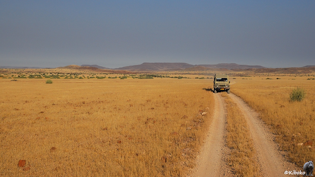 Ein Geländewagen fährt auf einem Feldweg über eine Ebene aus trockenem Gras. Im Hintergrund sind braune Tafelberge zu sehen.