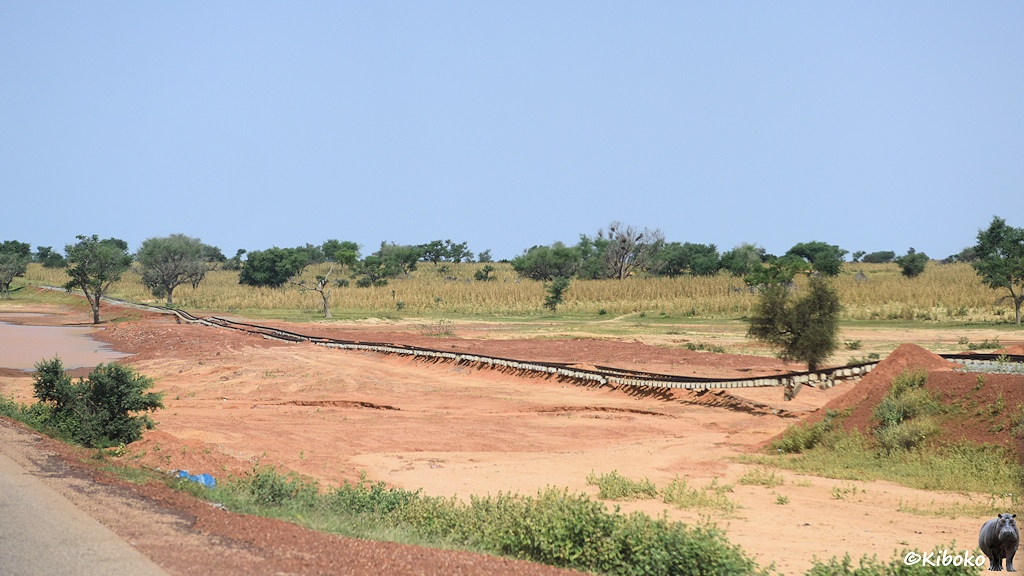Das Bild zeigt eine Bahnstrecke, bei der Damm unterhalb der Gleise weggespült wurde. Die Gleise hängen teilweise in der Luft. Die Betonschwellen hängen an den Schienen. Teilweise leigen die Gleise krumm und schief auf dem rosafarbenen Boden.