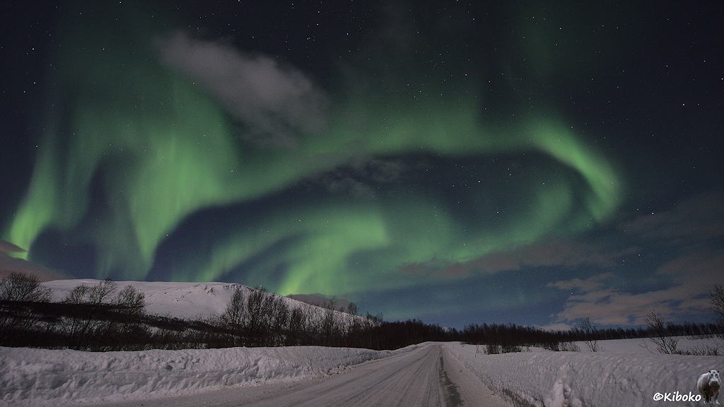 Das Bild zeigt eine verschneite Straße mit Schneewällen auf beiden Seiten. Über einen Berg auf der linken Bildhälfte leuchtet das Polarlicht in mehreren Schleifen, Bögen und Kreisen die bis über die Straße ragen.