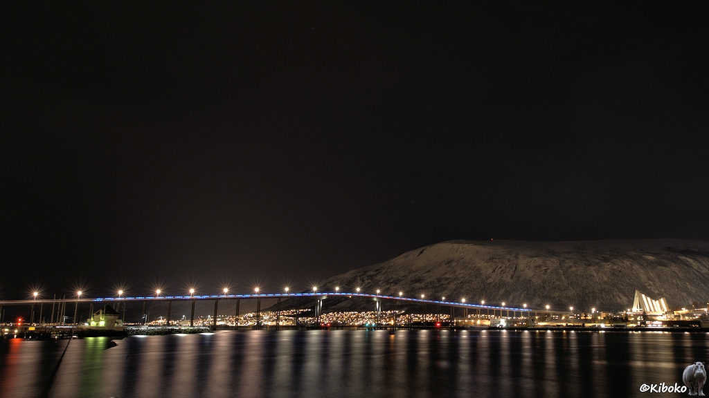 Das Bild zeigt eine Nachtaufnahme von einer Betonbalkenbrücke über einen Meeresarm. Über die Brücke führt eine Lichtstspur mit einen Strichmuster, wobei ein Strich jeweils aus 5 blauen Punkten besteht. Auf der gegenüberliegenden Seite ist ein Meer aus Lichtern von einem Ort. Die Lichter spiegeln sich im Meeresarm.