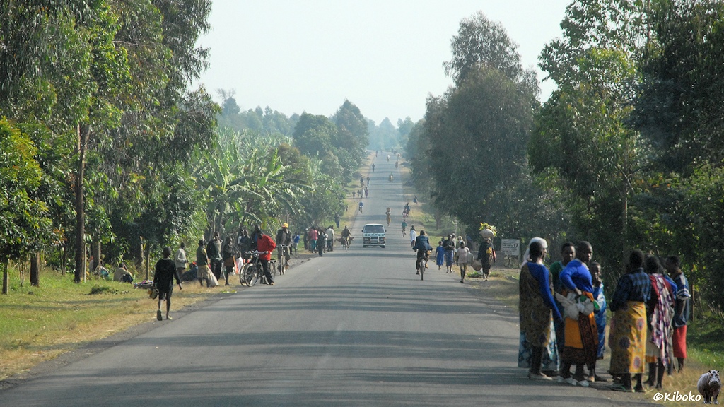 Das Bild zeigt eine gerade Teerstraße, die mit Bäumen und Banenenstauden gesäumt ist. Auf und neben der Straße sind Gruppen von Frauenund Radfahrern.