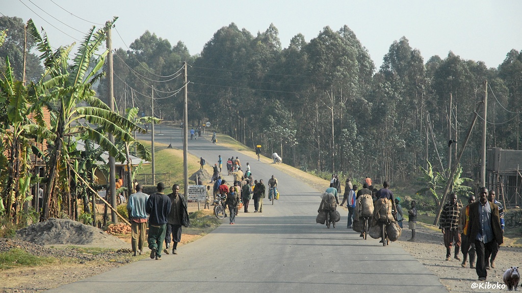 Das Bild zeigt eine Teerstraße im leichten Linksbogen. Auf der Straße sind Radfahrern. Sie transportieren große Säcke. Im Hintergrund stehen Eukalyptusbäume.