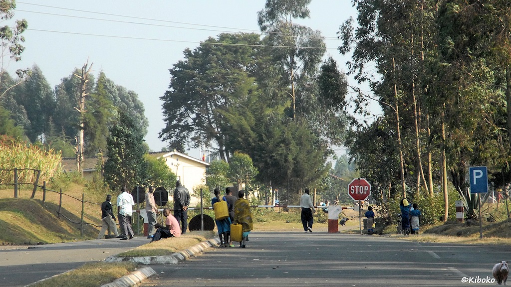 Das Bild zeigt das Ende einer Teerstraße it rot-weiß gestrichenen Schlagbaum und Stoppschild. Im Hintergrund ist zwischen Bäumen der Giebel eines weißen Hauses zu sehen. Dort residieren die Grenzer von Uganda.