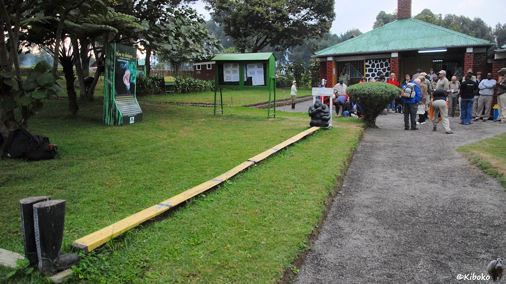 Das Bild zeigt ein kleines Haus mit grünem Blechdach. Dvor warten viele Menschen. Auf dem Rasen auf der Linken Seite stehen ein paar Gummistiefel am ende einer 7m langen Holzplanke. Dahinter ist ein Gorillastatue.
