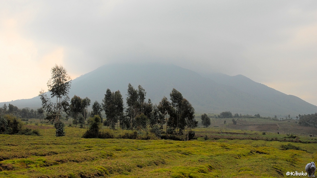 Das Bild zeigt eine Gruppe Vulkane hinter Feldern.