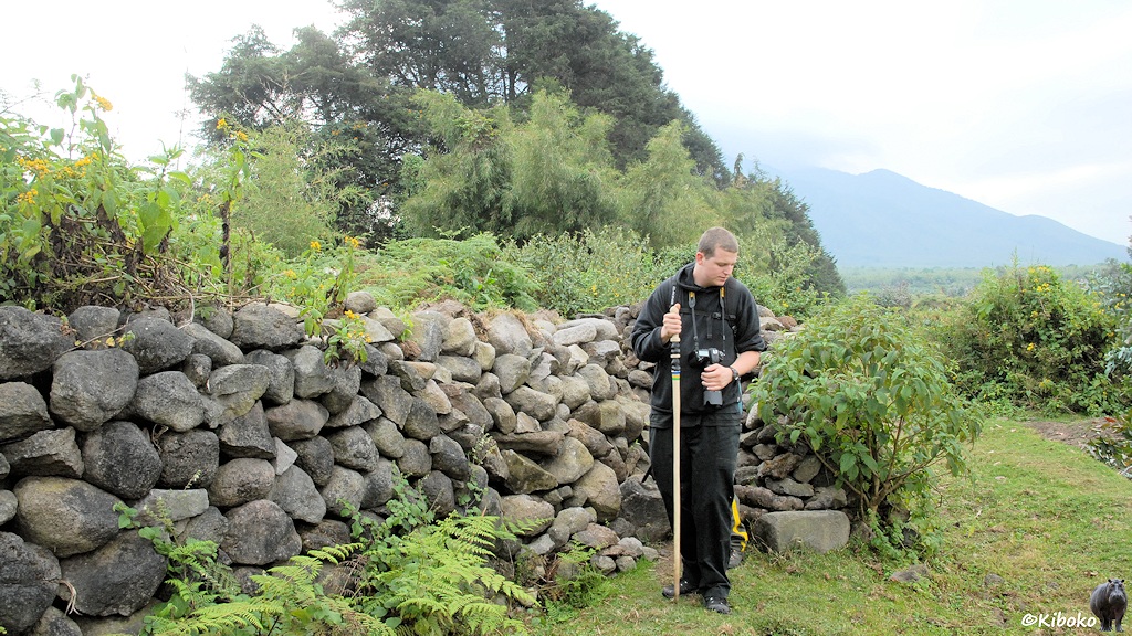 Das Bild zeigt einen schwarz gekleideten Mann mit Spazierstock und Kamera vor einer ca. 1,50m hohen Mauer, die aus rundlichen Natursteinen aufgeschichtet ist.