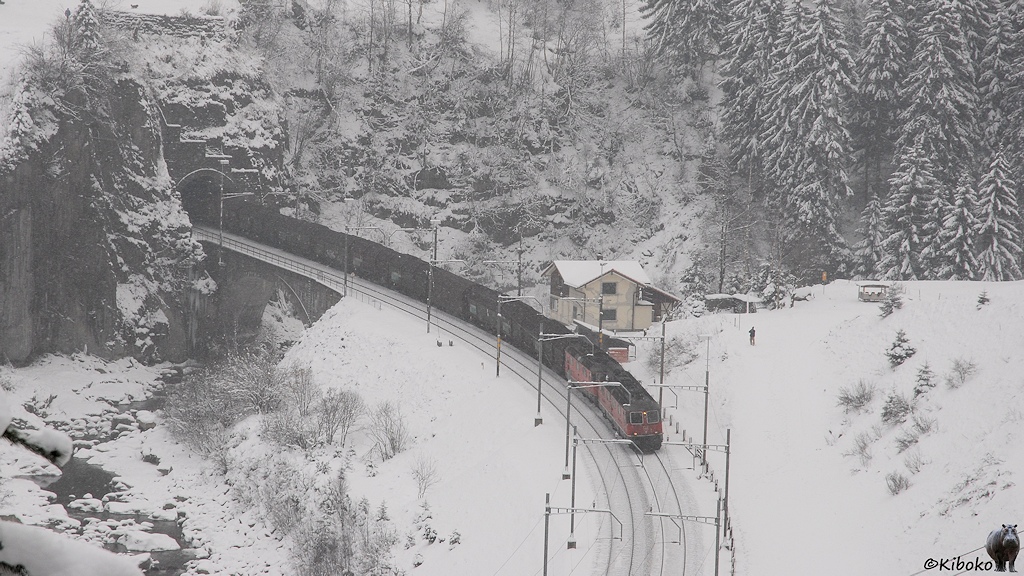 Das Bild zeigt einen Güterzug mit zwei roten Elektrolokomotiven bei der Ausfahrt aus einem Tunnel in einem winterlichen Tal.
