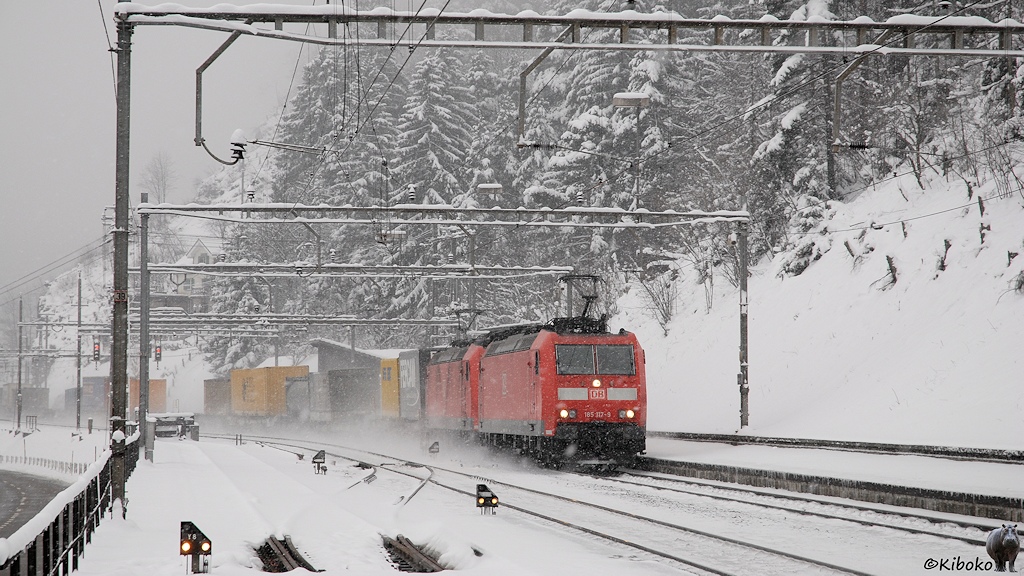 Das Bild zeigt zwei rote Elektrolokomotiven der DB vor einem Zug mit Wechselpritschen bei der Fahrt durch einen Bahnhof bei Schneetreiben.