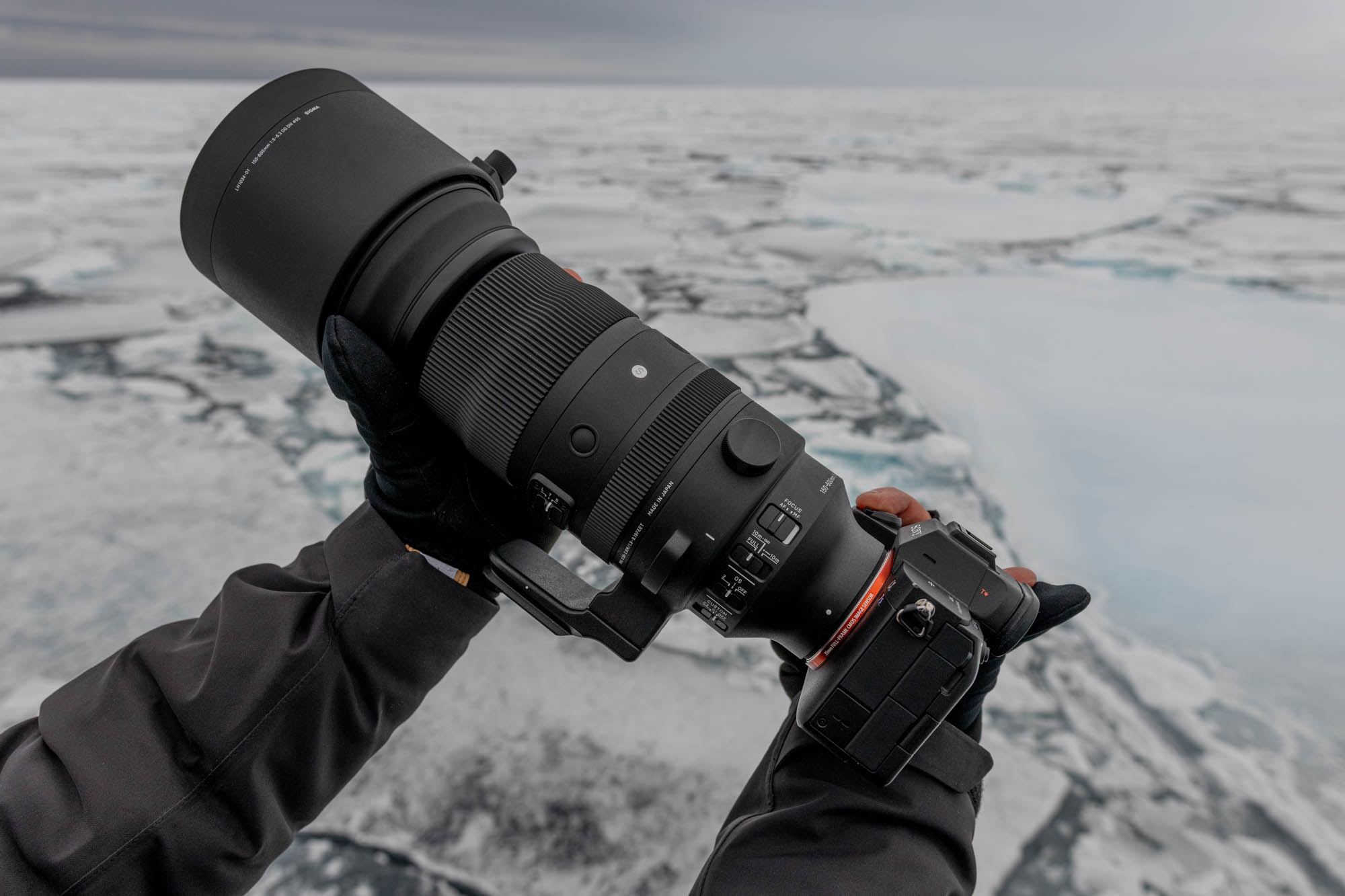 MichaelGinzburg_Arktis150-600mm_Blog-12.jpg