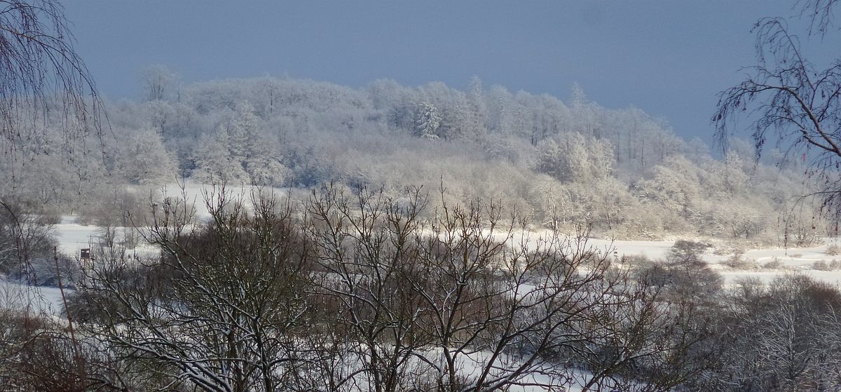 Schnee-im-Vogelsberg.jpg