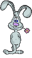 :mitblume: